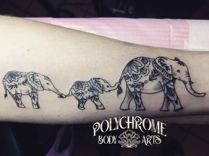 Polychrome Body Arts 0