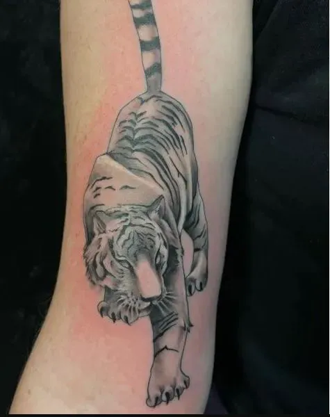 Creative Ink Tattoo Studio 2