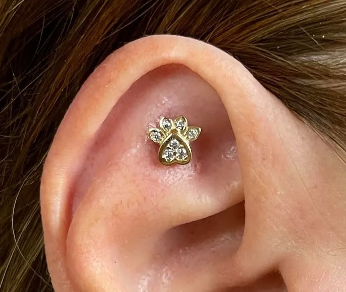 Fight or Flight Tattoo & Piercing 6