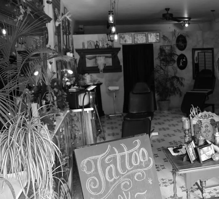 White Bird Studio 0