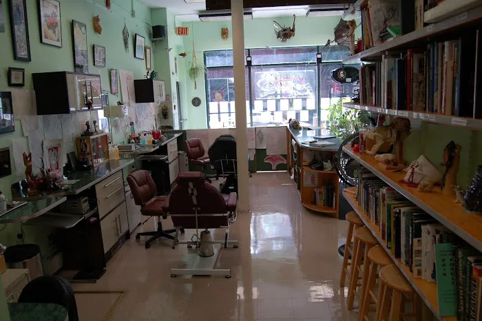 Medusa Tattoo Studio 7