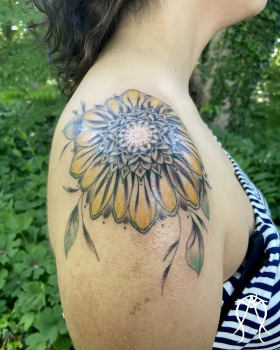 Ace of Wands: Private Tattoo & Tarot Studio . Appointment Only 2