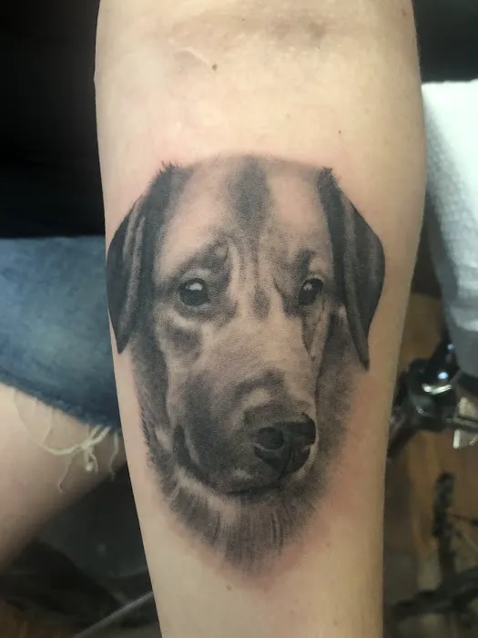 Rockin' Horse Tattoo & Piercing 8