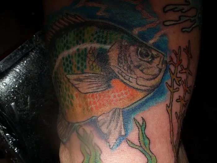 Inksanity Tattoo Studio 2