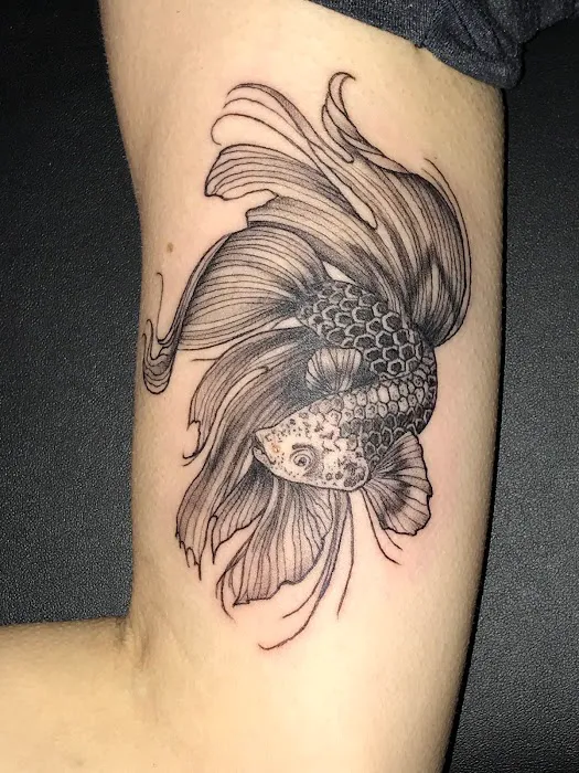 Shifty Whiskers Tattoo Studio 4