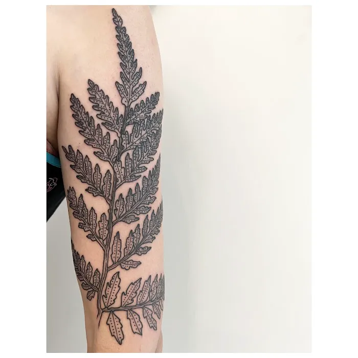 Terra Vasa Tattoo 0
