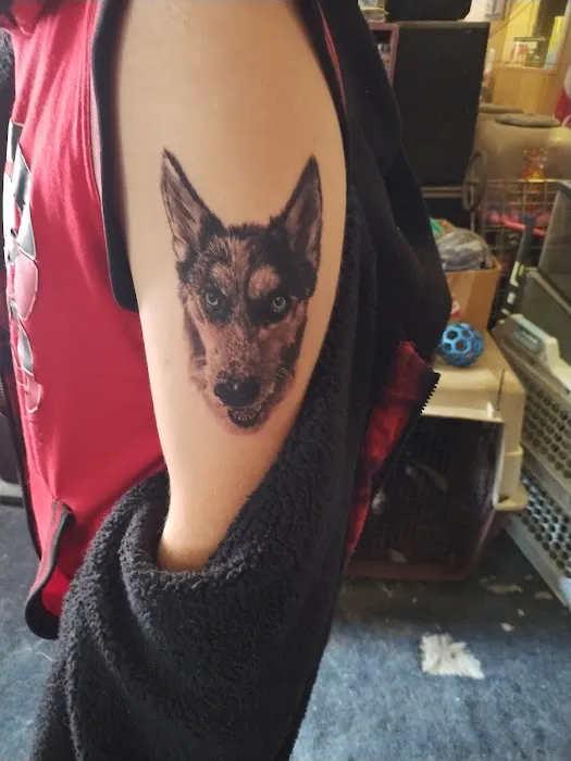 Body Mods 5