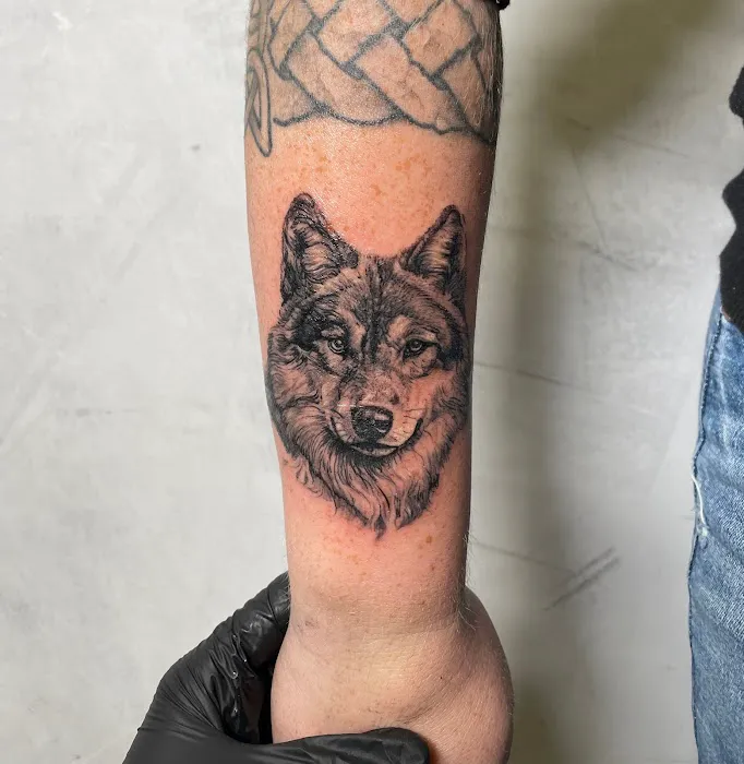 Sailia Tattoo Studio 2