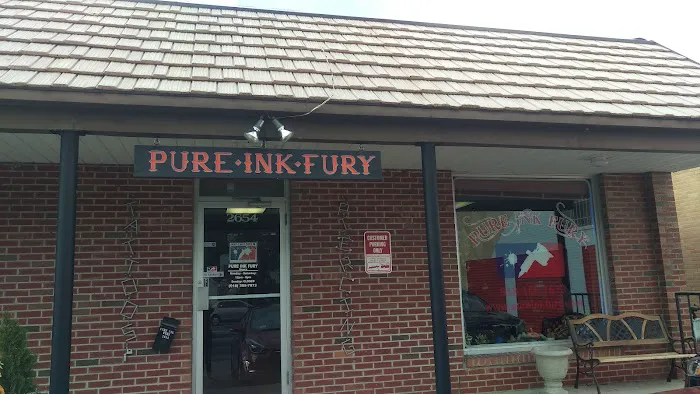 Pure Ink Fury 7