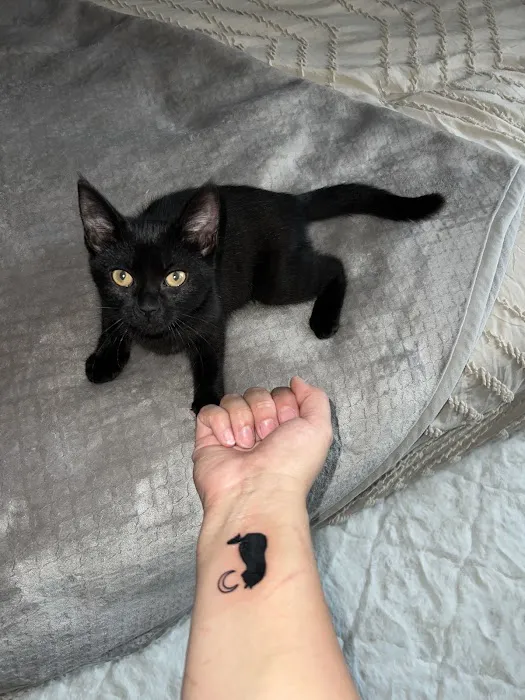 Evil Eye Tattoo 0