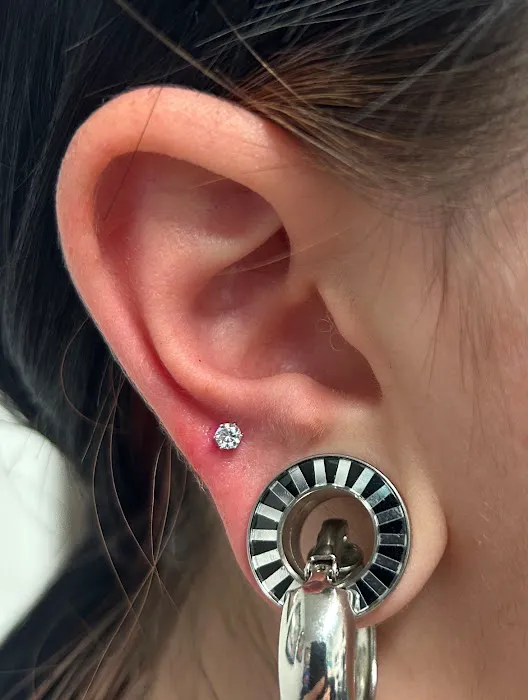 Piercing by Jacqueline at X-Treme Ink Tattoo 6