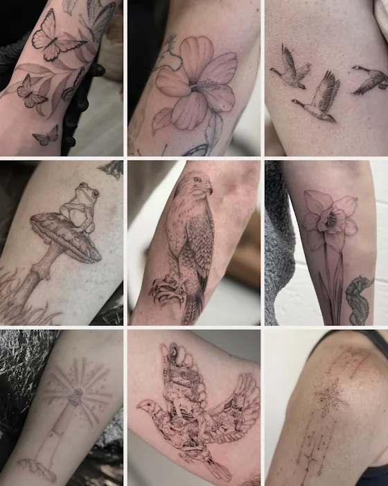 Imagine Ink 1