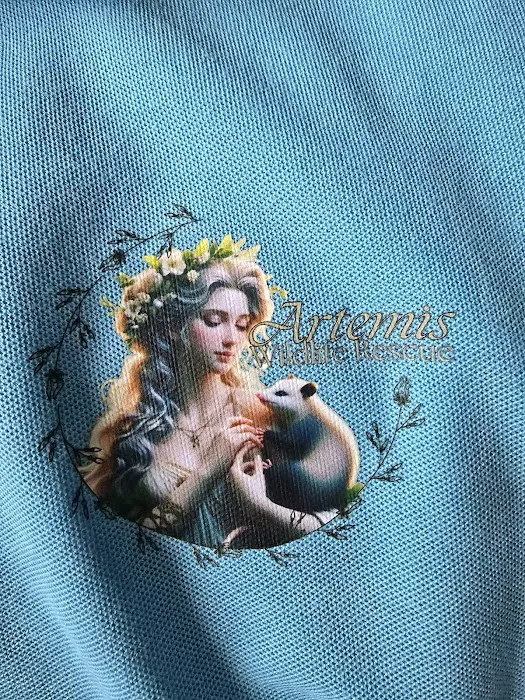Designs By Dawn Custom Gifts and Apparel, Airbrush Temporary Tattoos and Photobooth 1