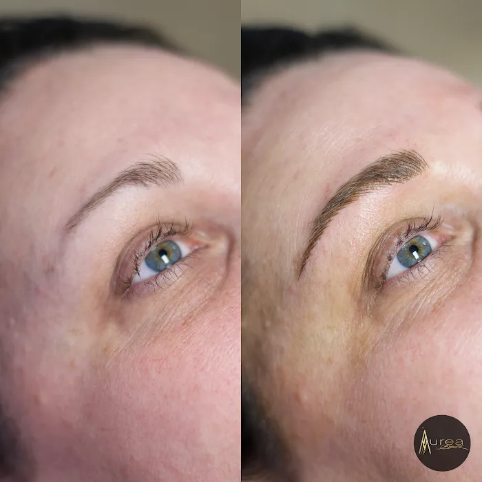 Àurea Brows 2