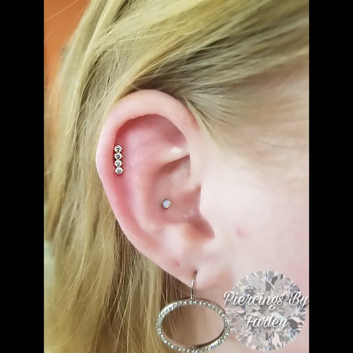 Spider-Bite, Inc. 2