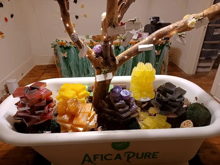 AFICAPURE 2