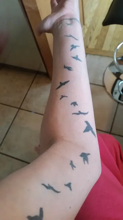 Chico's Crows Nest Tattoo Std 5