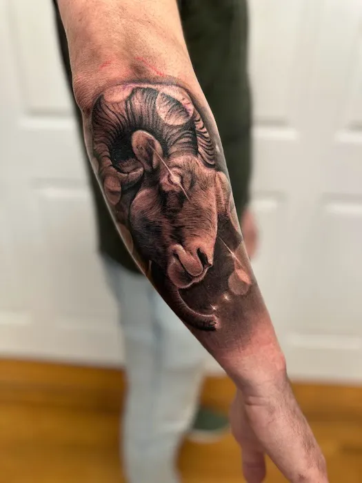 5 Pound Gummy Tattoo Collective 4