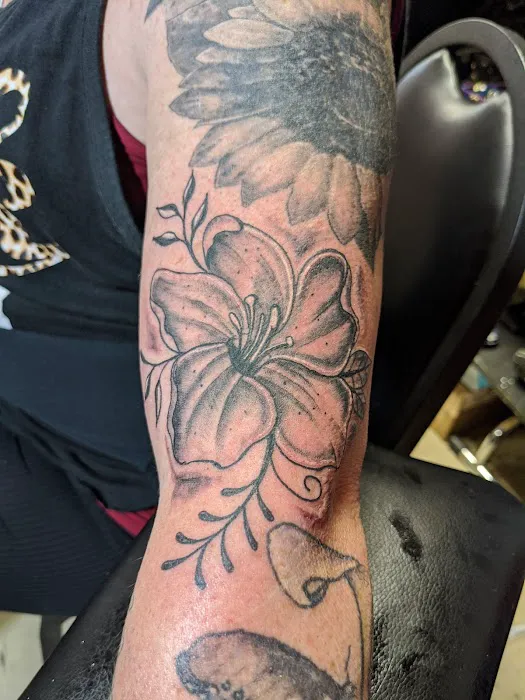 Wicked Ink Tattoo Studio 4