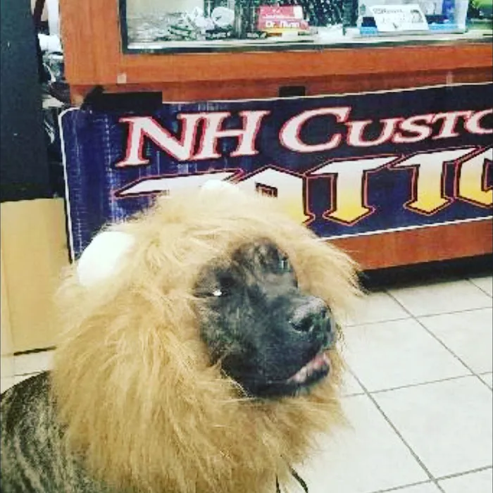 NH Custom Tattoo 7