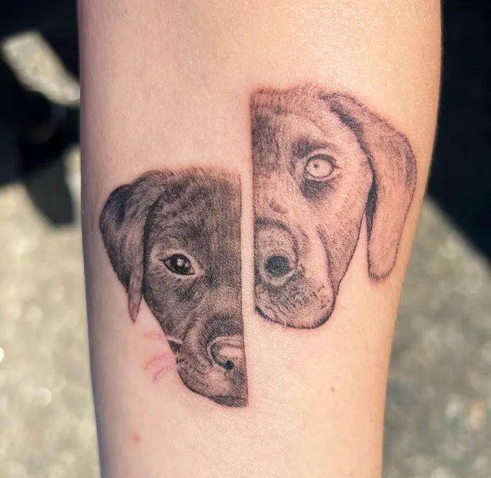 Blackbird tattoo co. 3