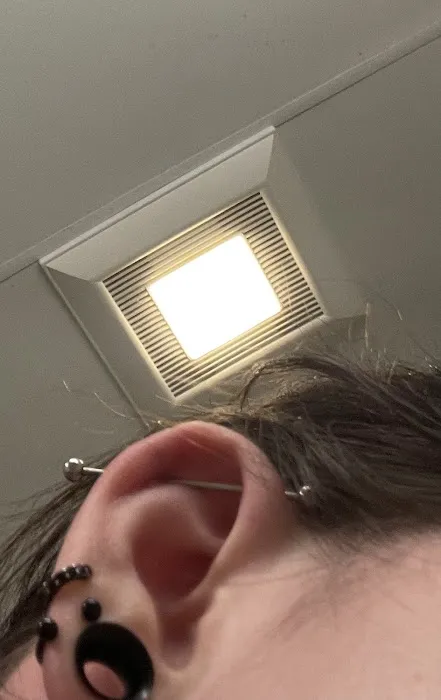 Professional Body Piercing 6