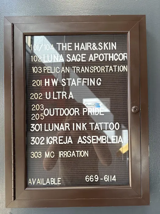 Lunar Ink 6
