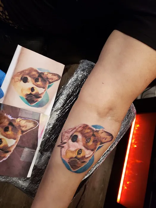 ELEMENT iNK 6