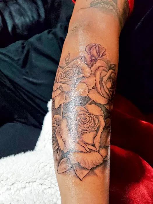 Stray Cat Tattoo 0