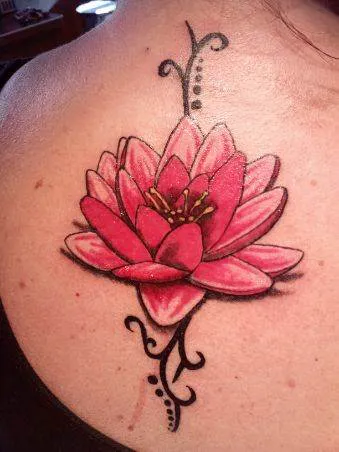Stray Cat Tattoo 7
