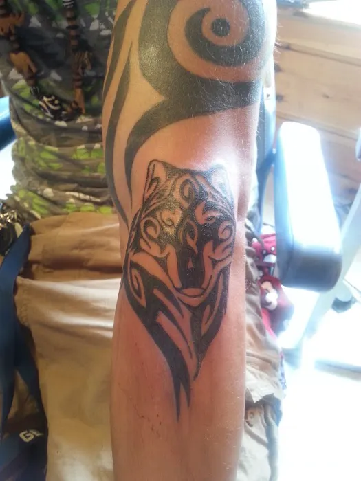 Tatkat tattooing springwater ny 8