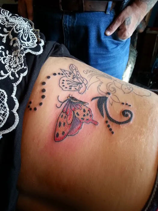 Tatkat tattooing springwater ny 9