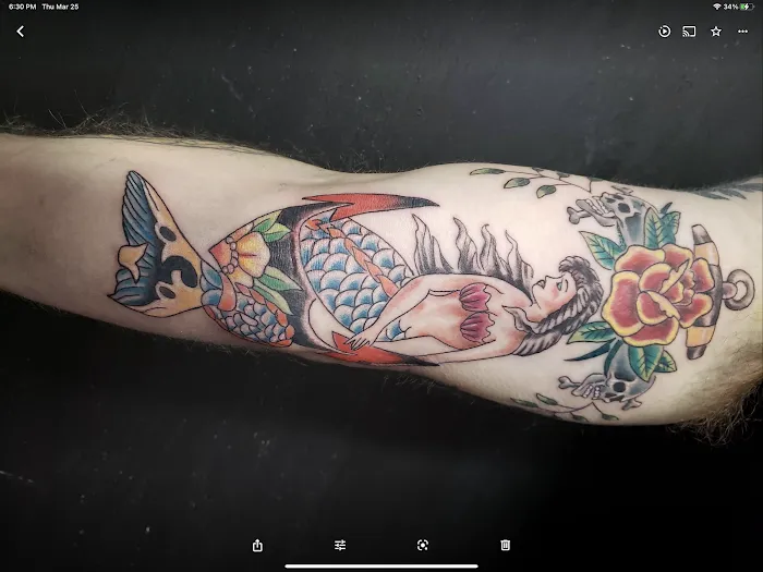 Expressive Ink 4
