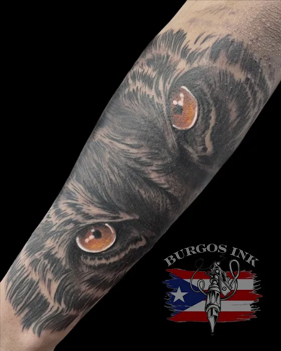Burgos Ink 5