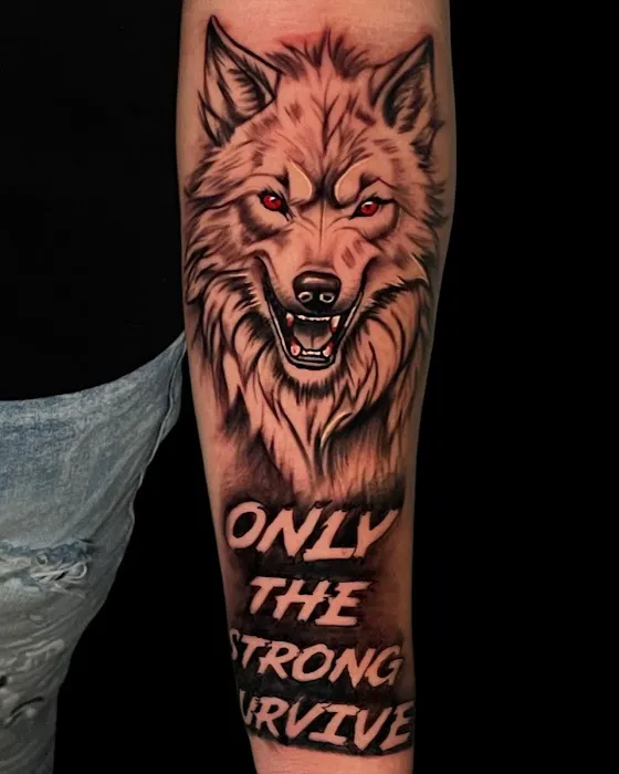 Burgos Ink 3