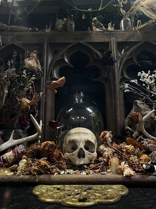 Black Altar Collective 1