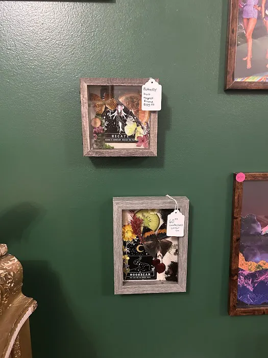 The Odd Parlor 4