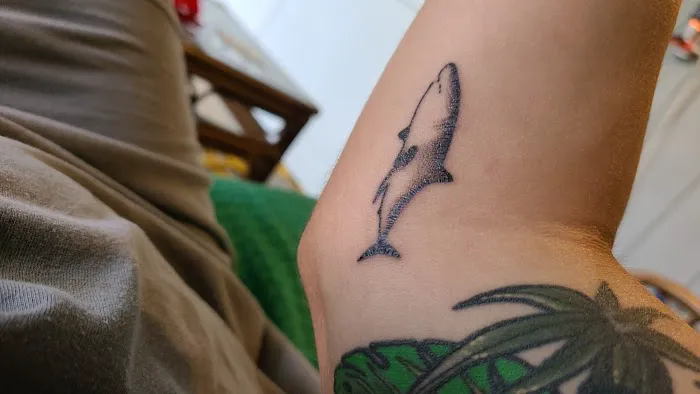 Blue Jacket Tattoo Company and Laser Removal 0