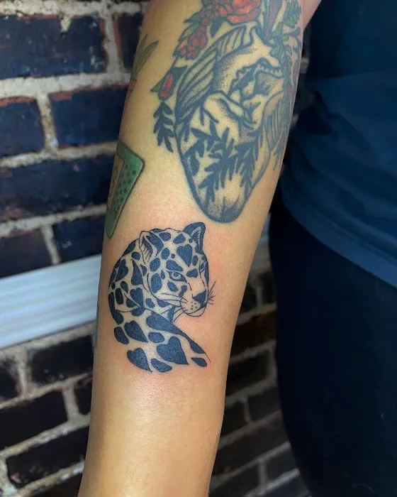 Skin and Bone Studio 1