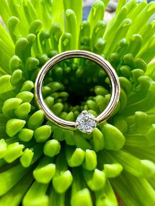 Siren Body Professional Piercing 4