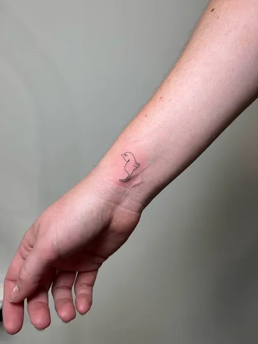 Skin + Brows ink 0