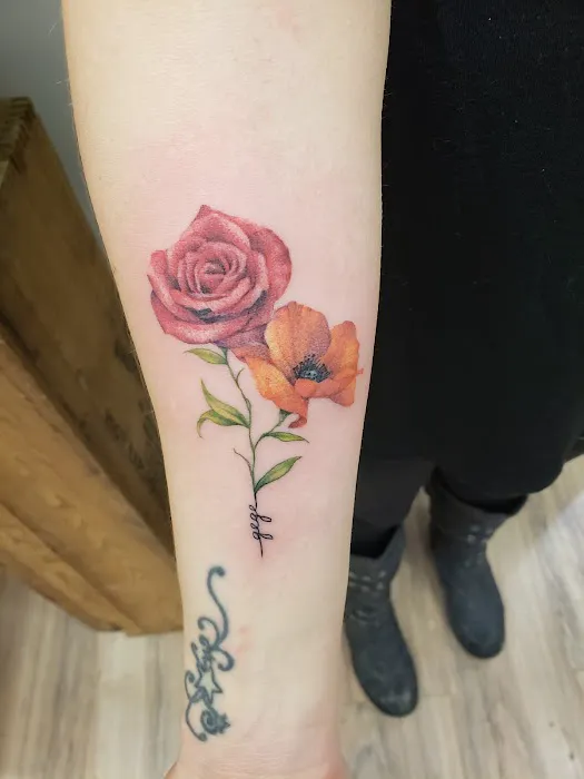Little Fish Studios 5