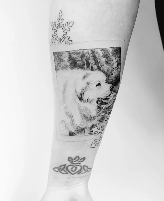 EVL Ink Tattoo & Apparel 1