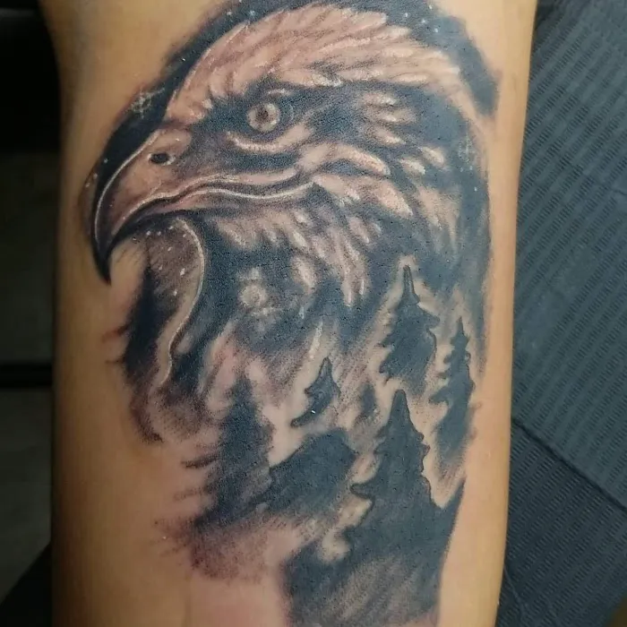 GMG Ink 7