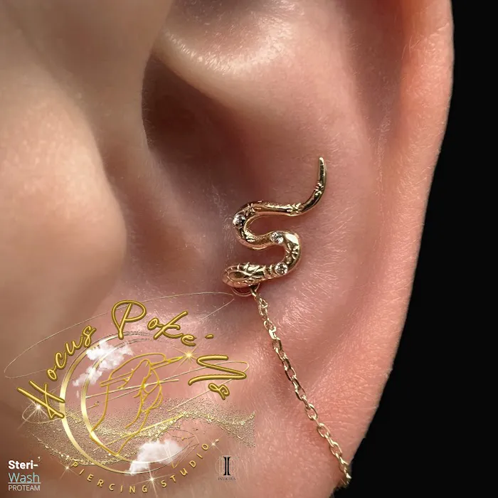 Hocus Poke’Us Piercing Studio (formally Brows ‘n Blings) 0