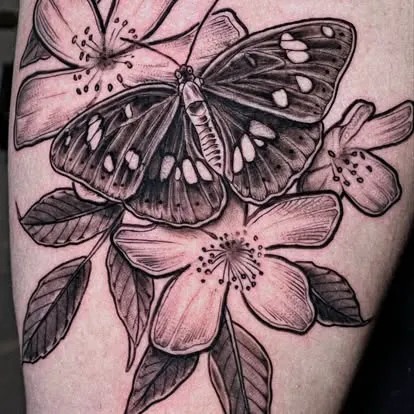 Kingdom Ink 3