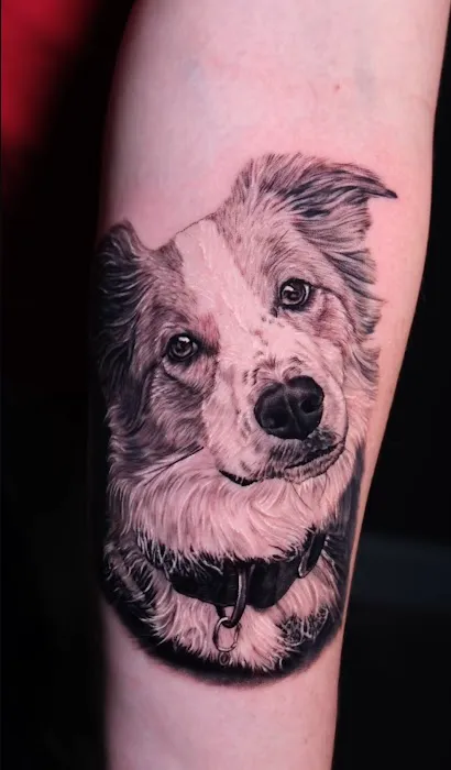 Casa Ink 1