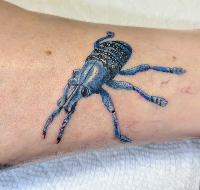 House of Kolor Tattoo 5