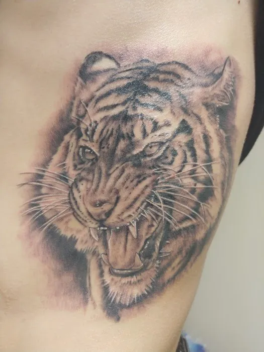 CATTOOS 3