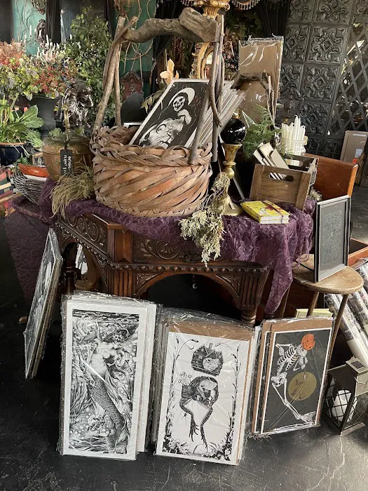 Black Veil Shoppe of Drear & Wonder 0